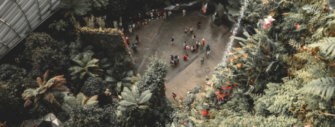 Vue en hauteur de l'intérieur d'un bâtiment : on y voit des personnes toutes petites entourées de murs de végétaux verts